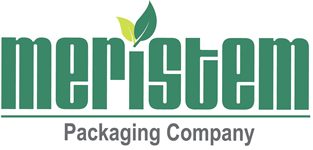 Meristem